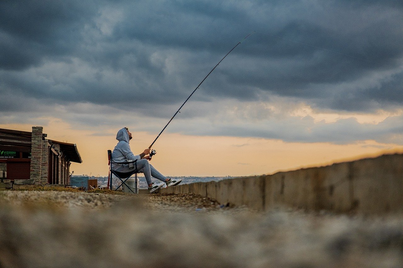 The Role of Climate Change in Fish Migration